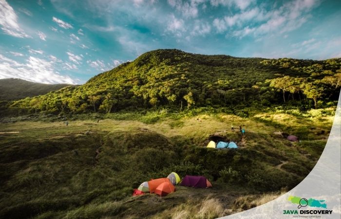 Exploring Mount Gede Pangrango National Park