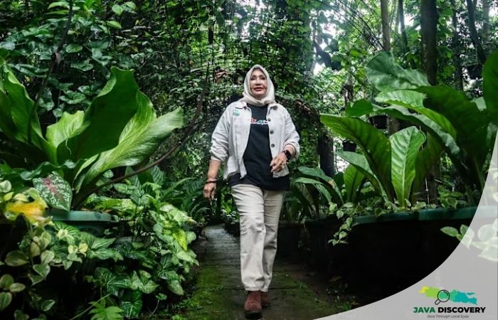 Rosita, the Tiger of Megamendung’s Living Forest