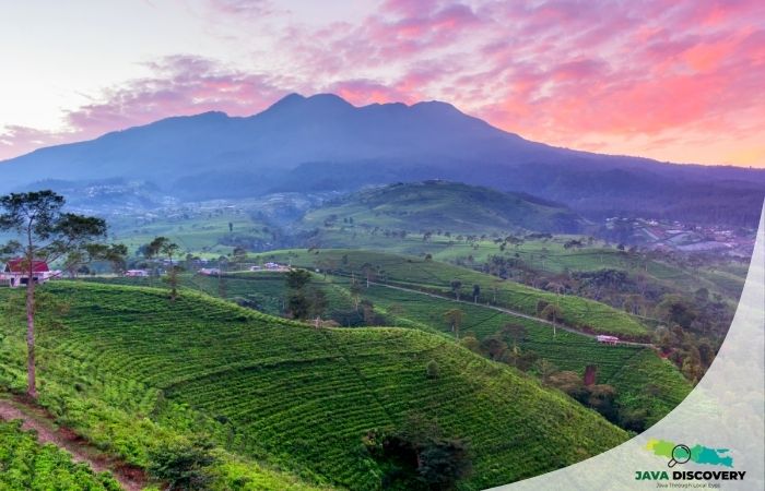 The Mystical Power of Mount Lawu