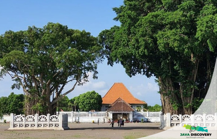 Why Our Ancestors Feared the Banyan Tree in Java