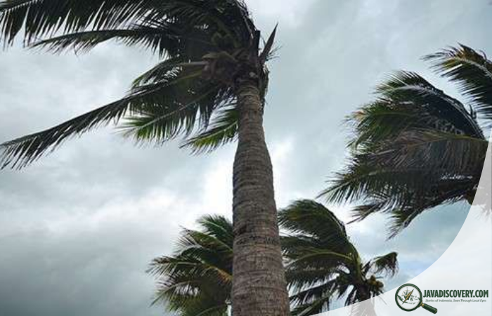 The Cultural Meaning of Monsoon in Javanese Life