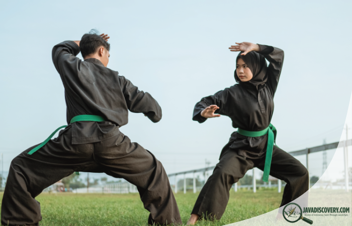 Silat as Philosophy Beyond the Martial Art