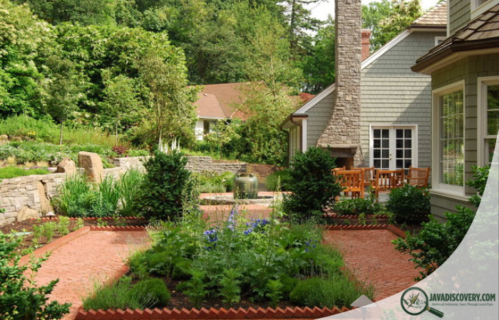 Traditional Herbal Landscapes Around Homes