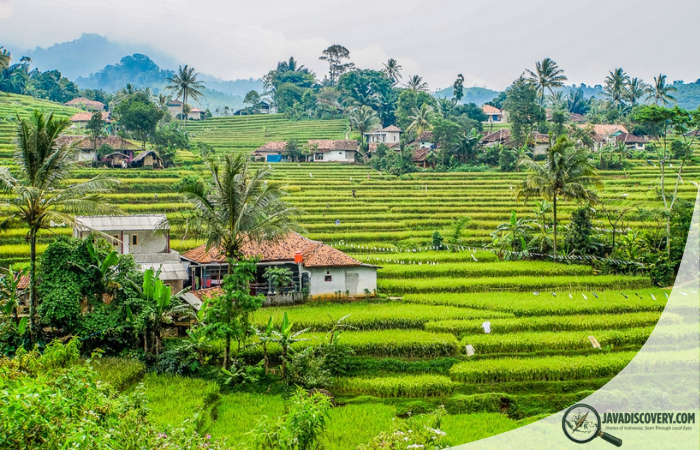 Dream Interpretation in Rural Java and Its Living Beliefs